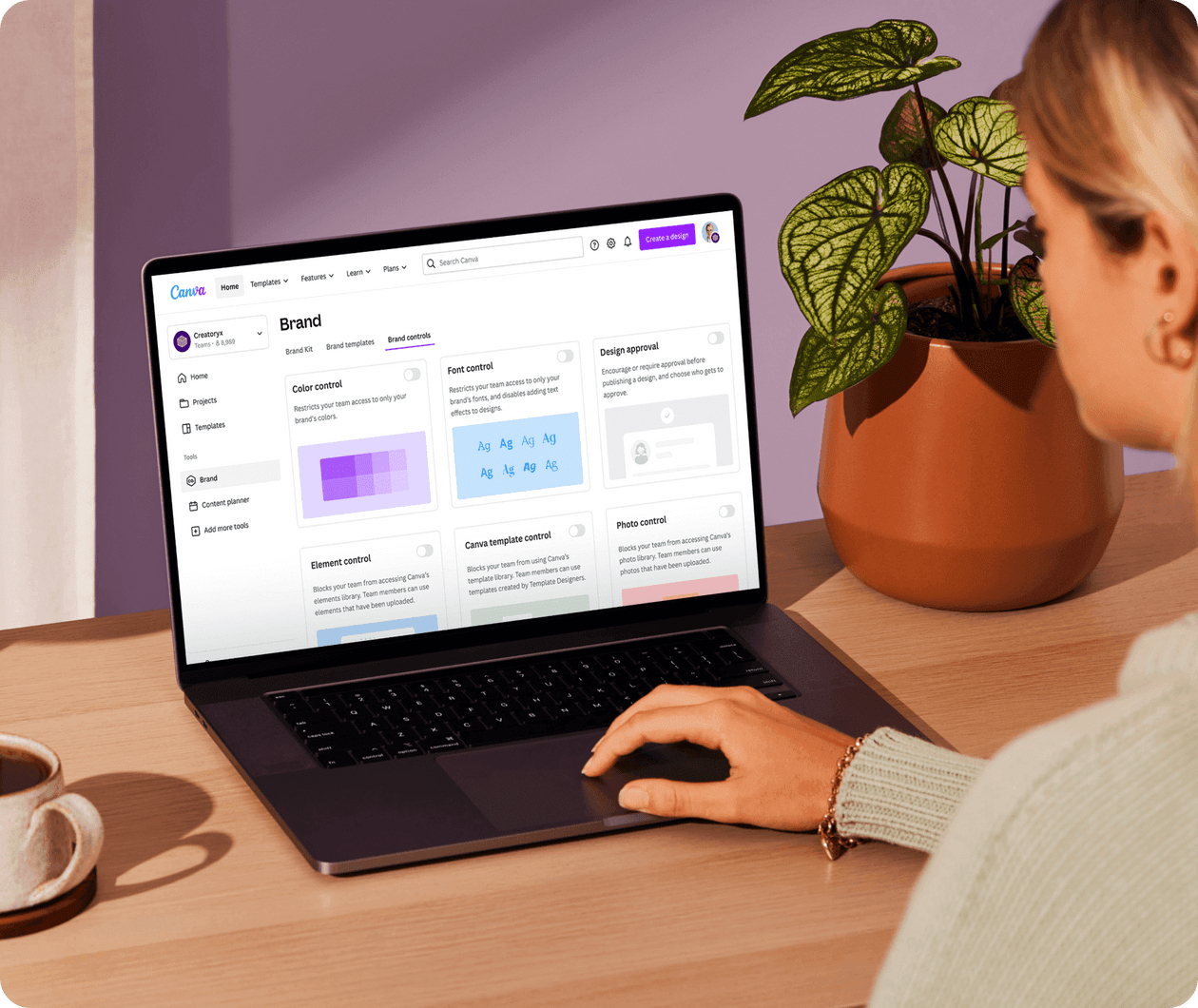 Qual a melhor alternativa ao Canva para criar sua landing page